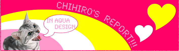 CHIHIRO'S REPORT
